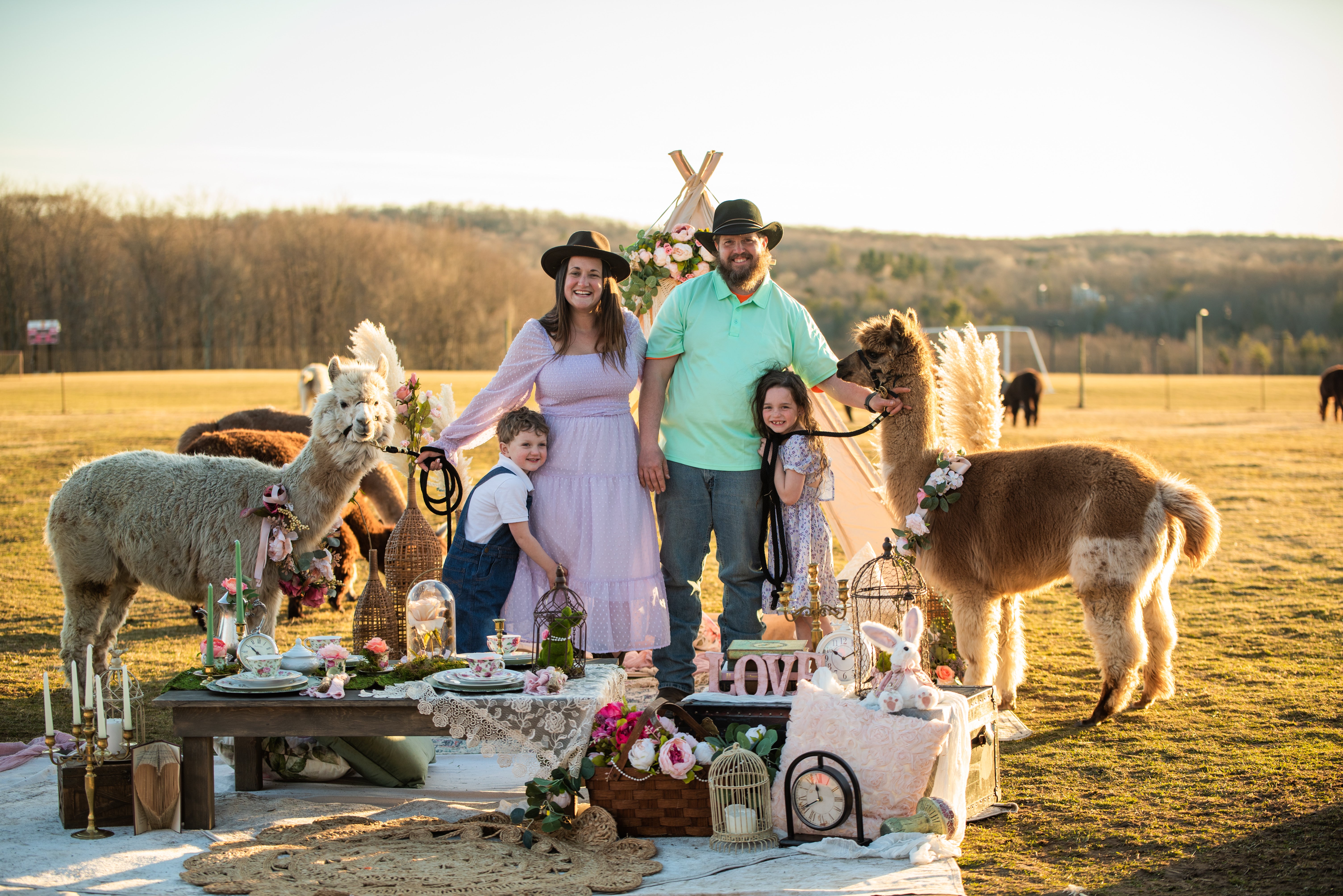About | Alpacas of Windy Haven Farm 153 Center Street Covington